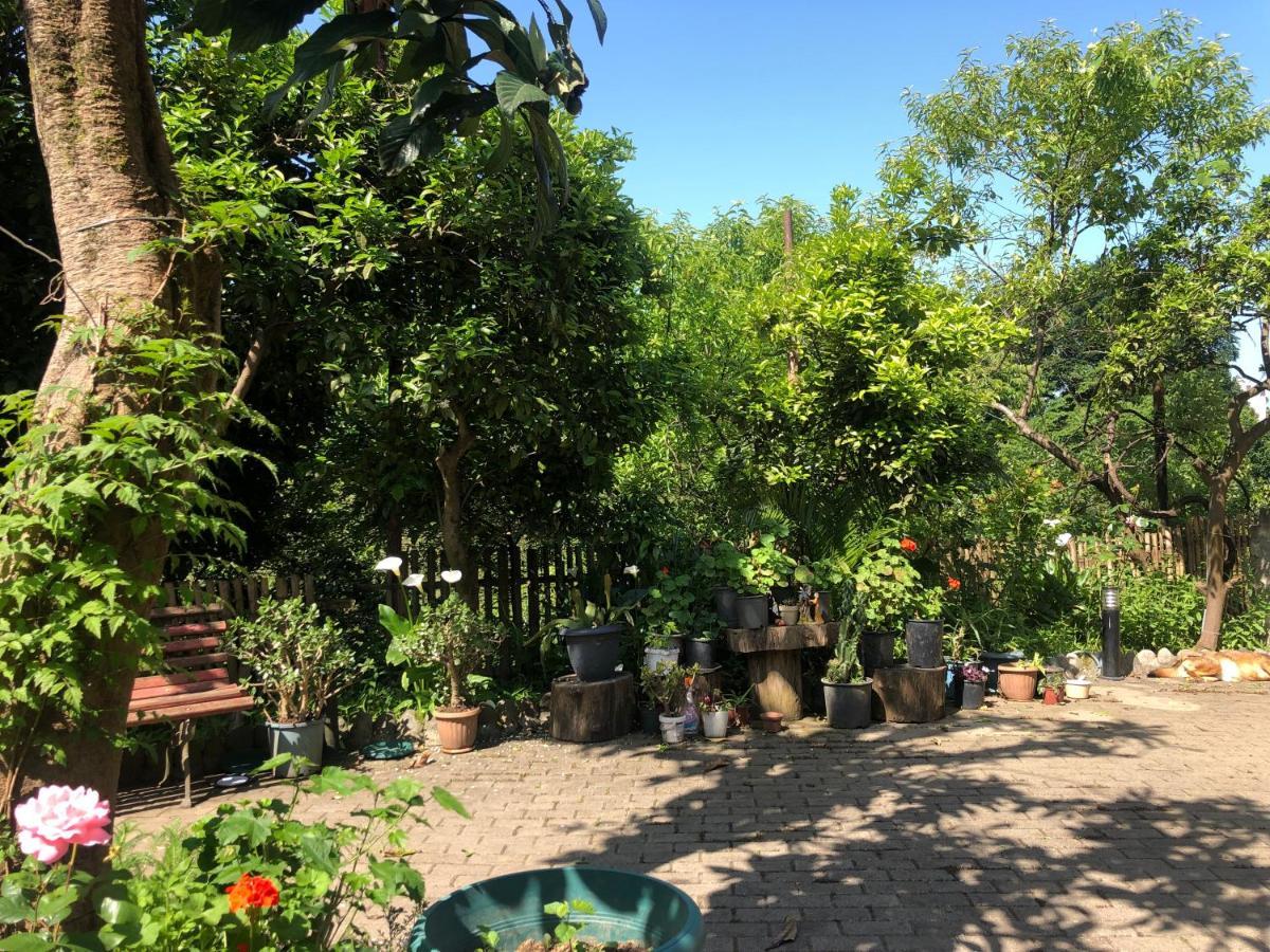 Villa La Familia Makhinjauri Exterior photo